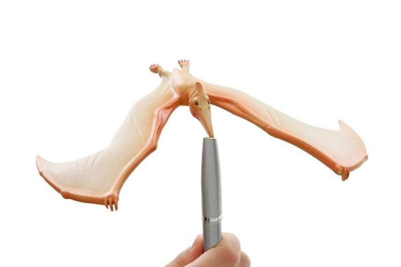 Brainstorm Toys Natural History Museum The Amazing Balancing Pteranodon