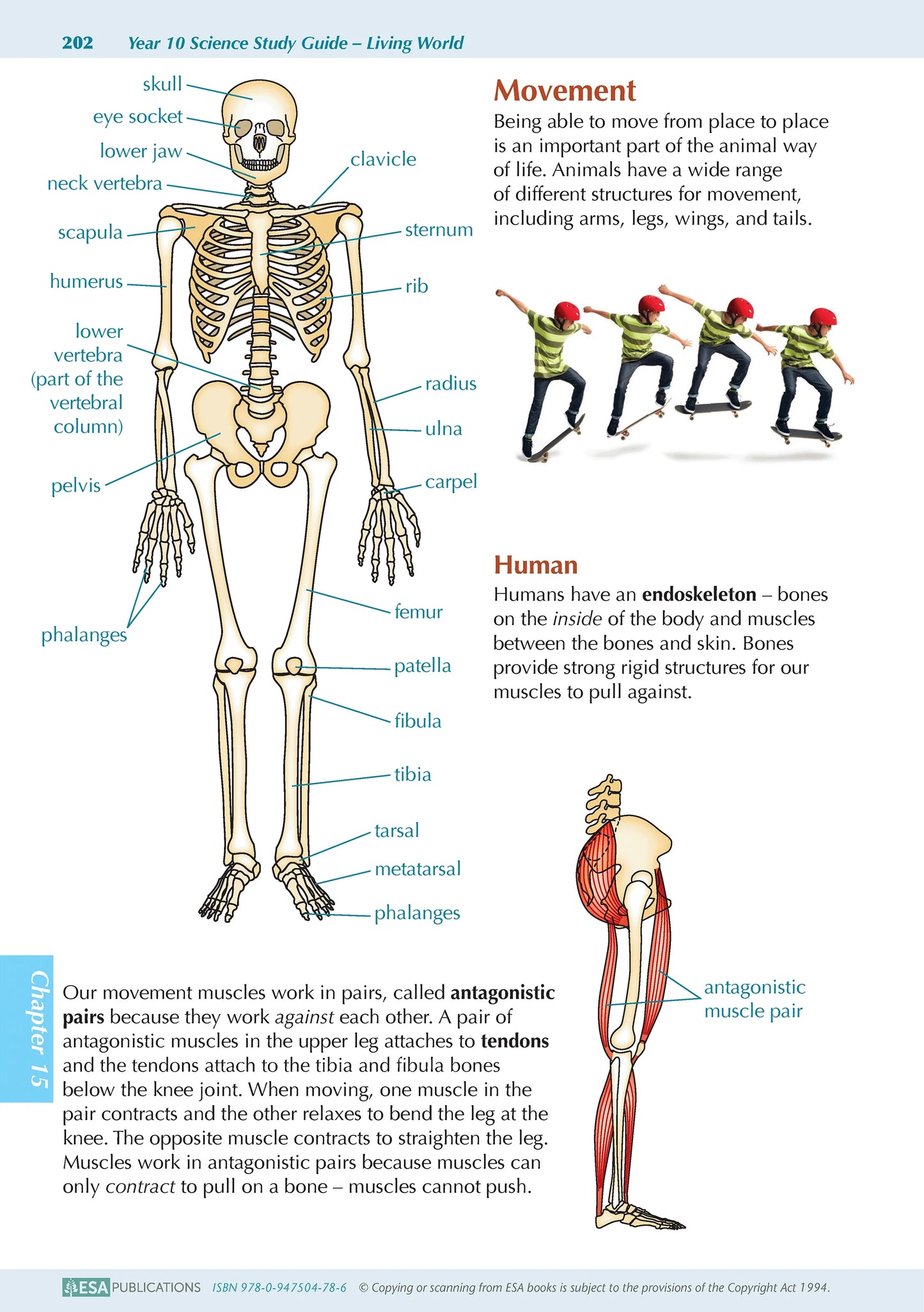 ESA Study Guide Year 10 Science