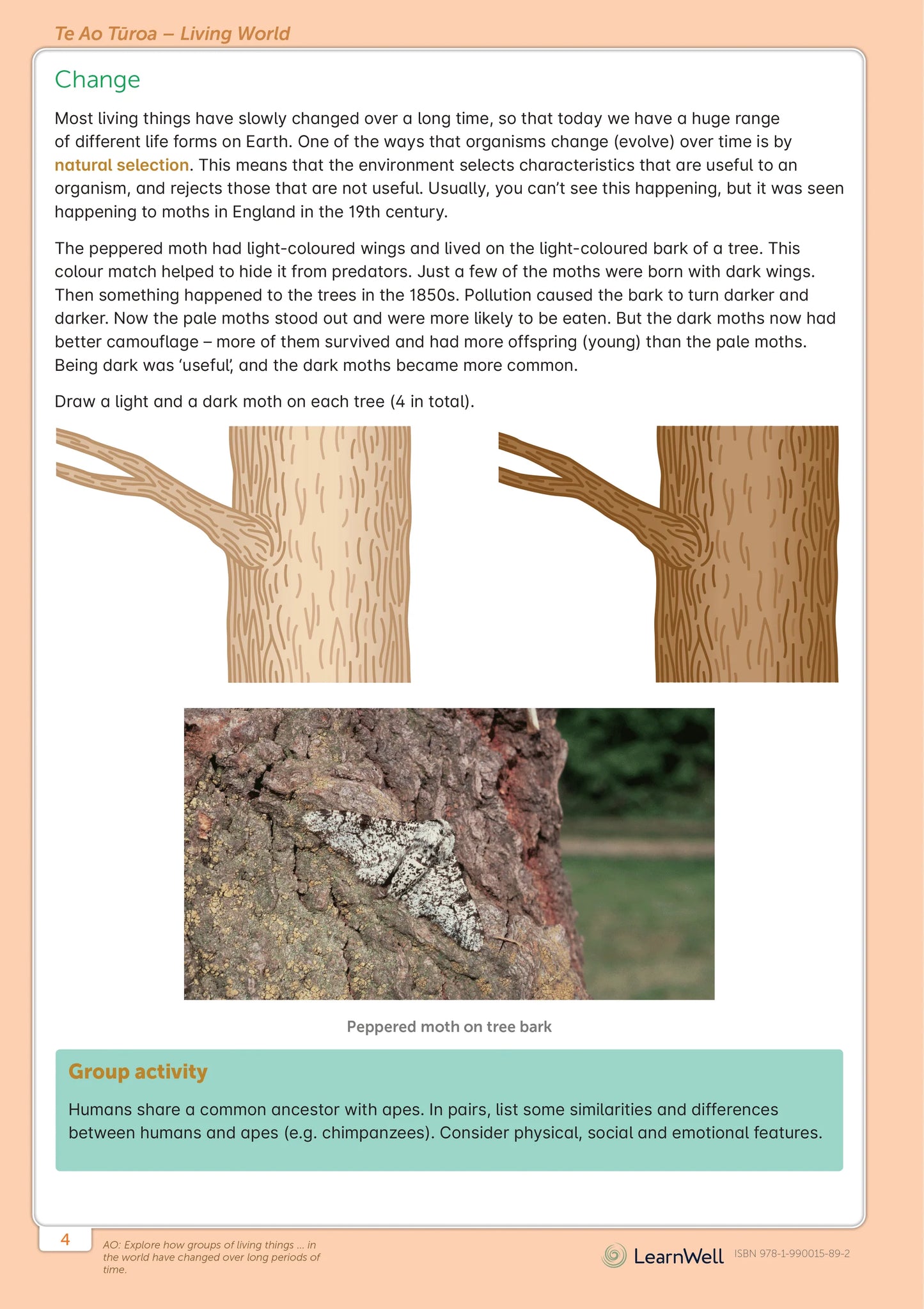 LearnWell Year 5 Science Start Right Workbook