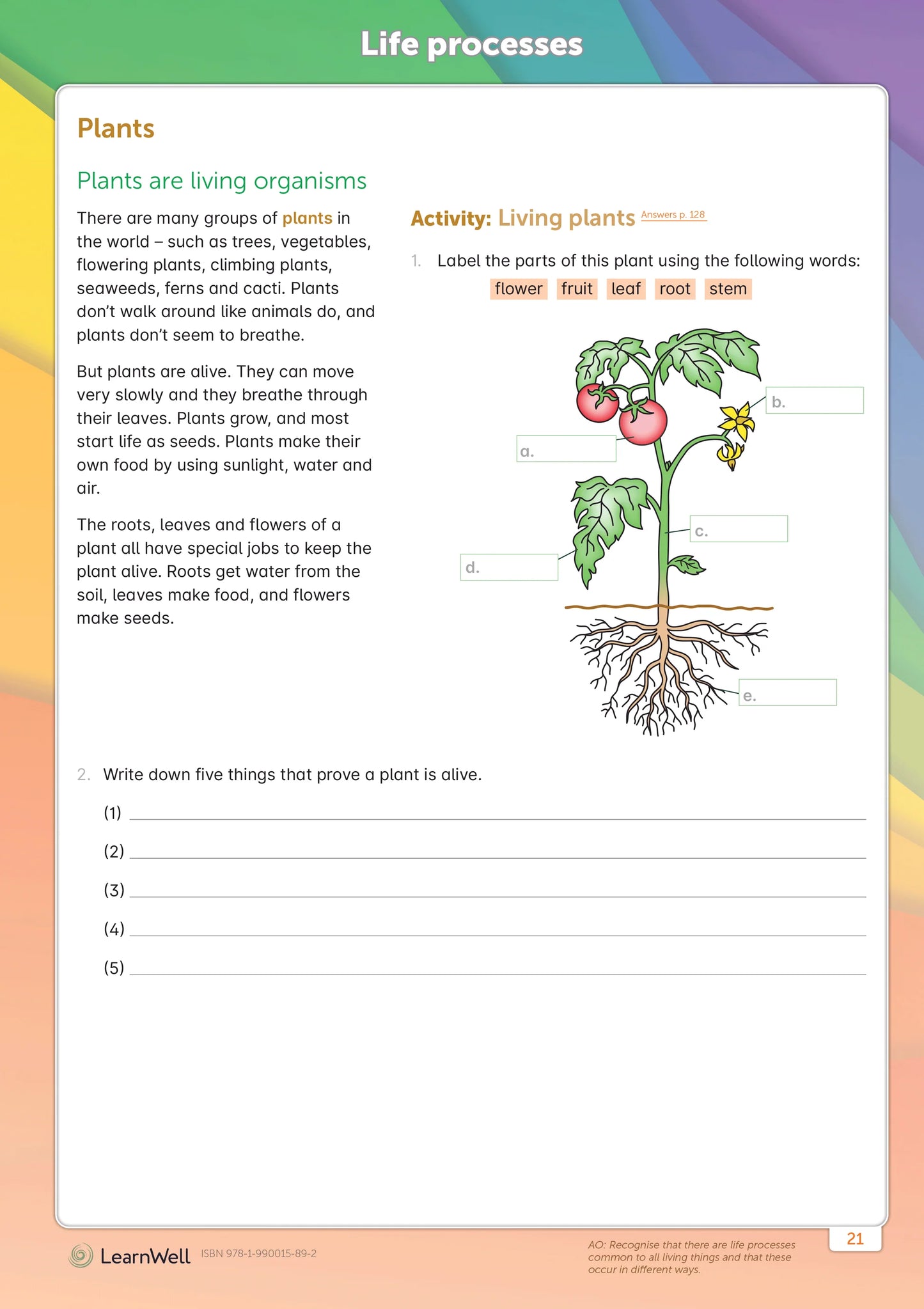 LearnWell Year 5 Science Start Right Workbook