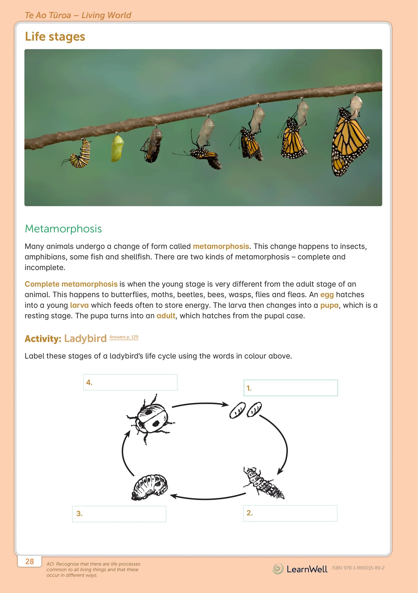 LearnWell Year 5 Science Start Right Workbook