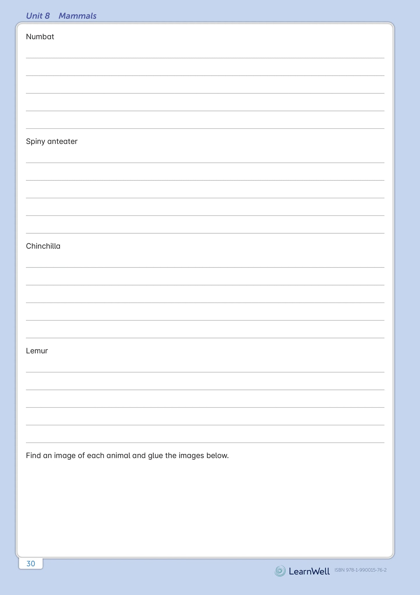 LearnWell Year 6 Homework Start Right Workbook