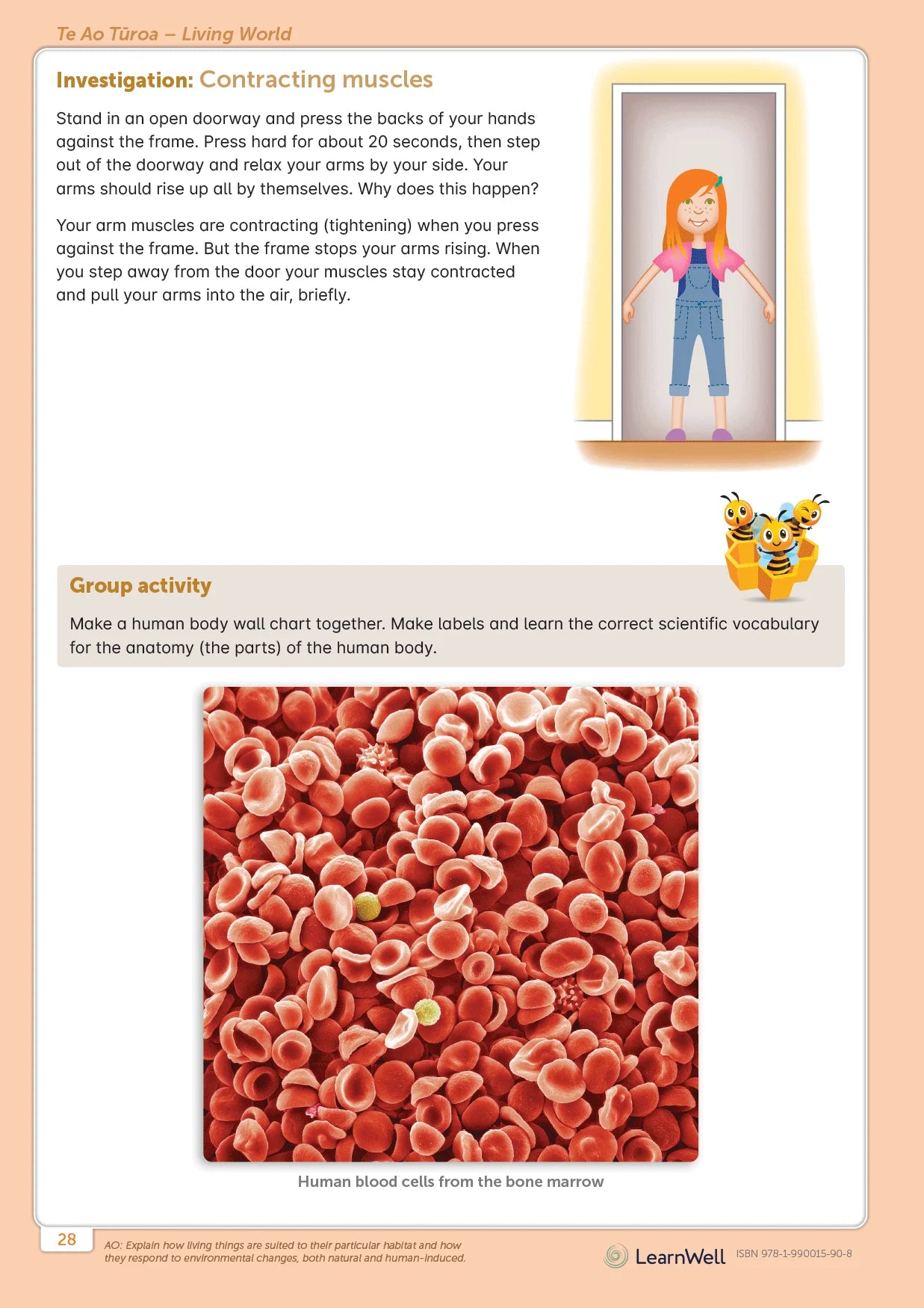 LearnWell Year 6 Science Start Right Workbook