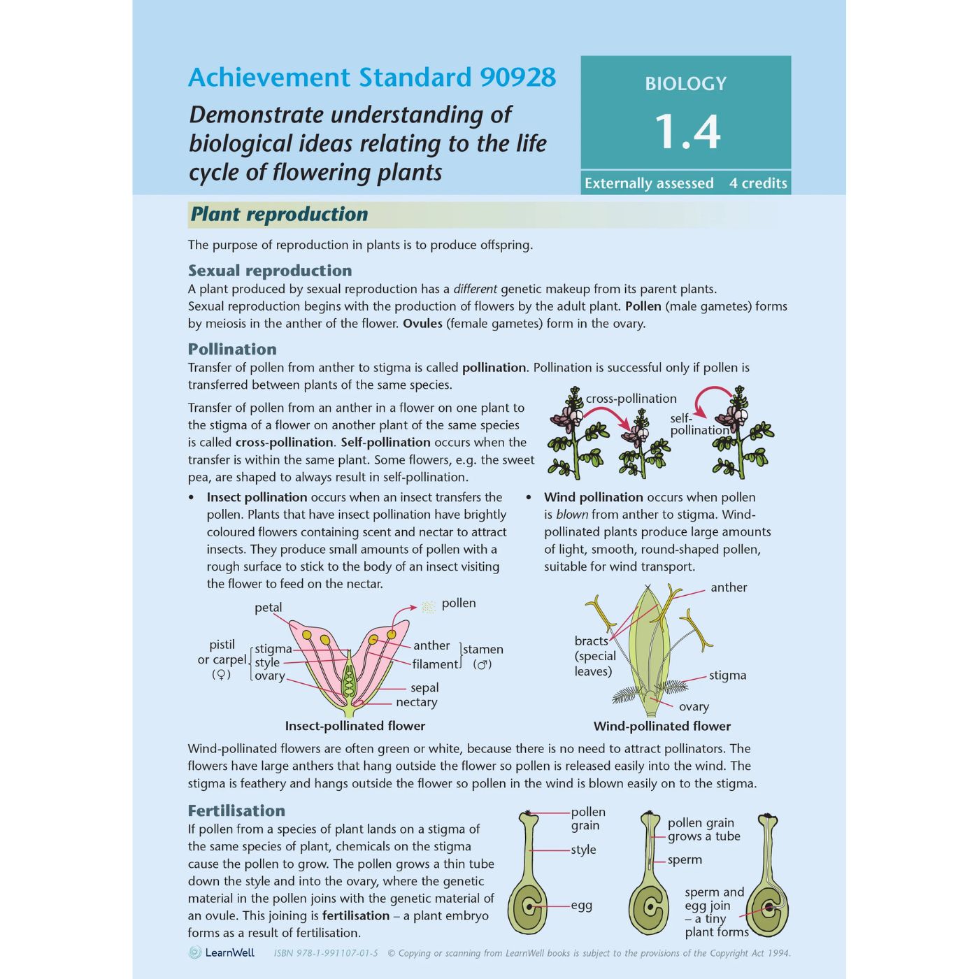 Learnwell Level 1 Biology AME Workbook – NCEA Study Guide NZ