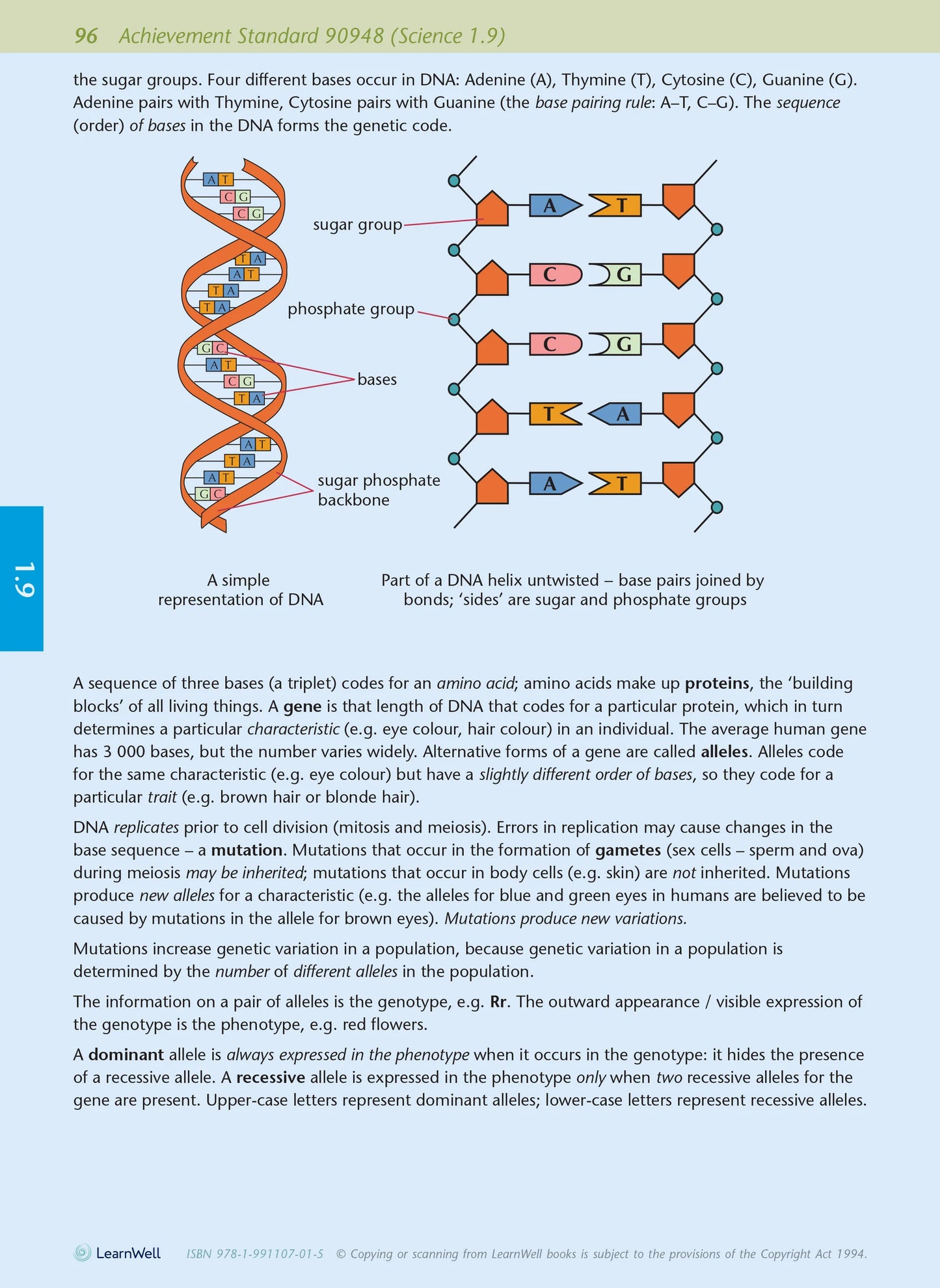 Learnwell Level 1 Biology AME Workbook – NCEA Study Guide NZ