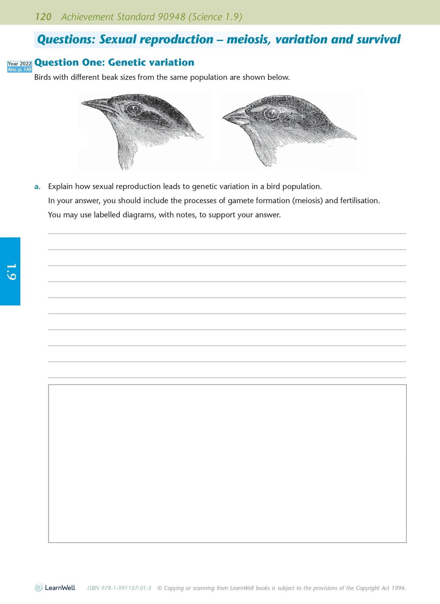 Learnwell Level 1 Biology AME Workbook – NCEA Study Guide NZ