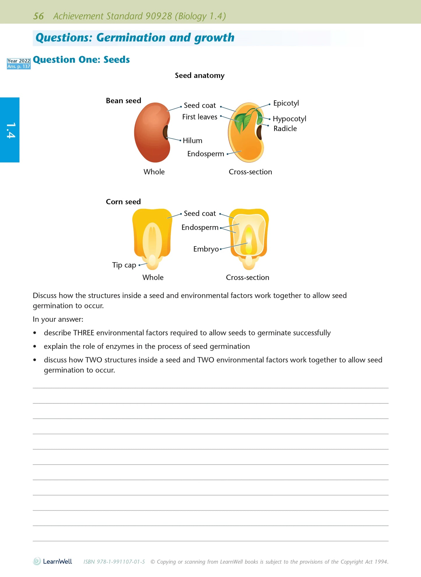 Learnwell Level 1 Biology AME Workbook – NCEA Study Guide NZ