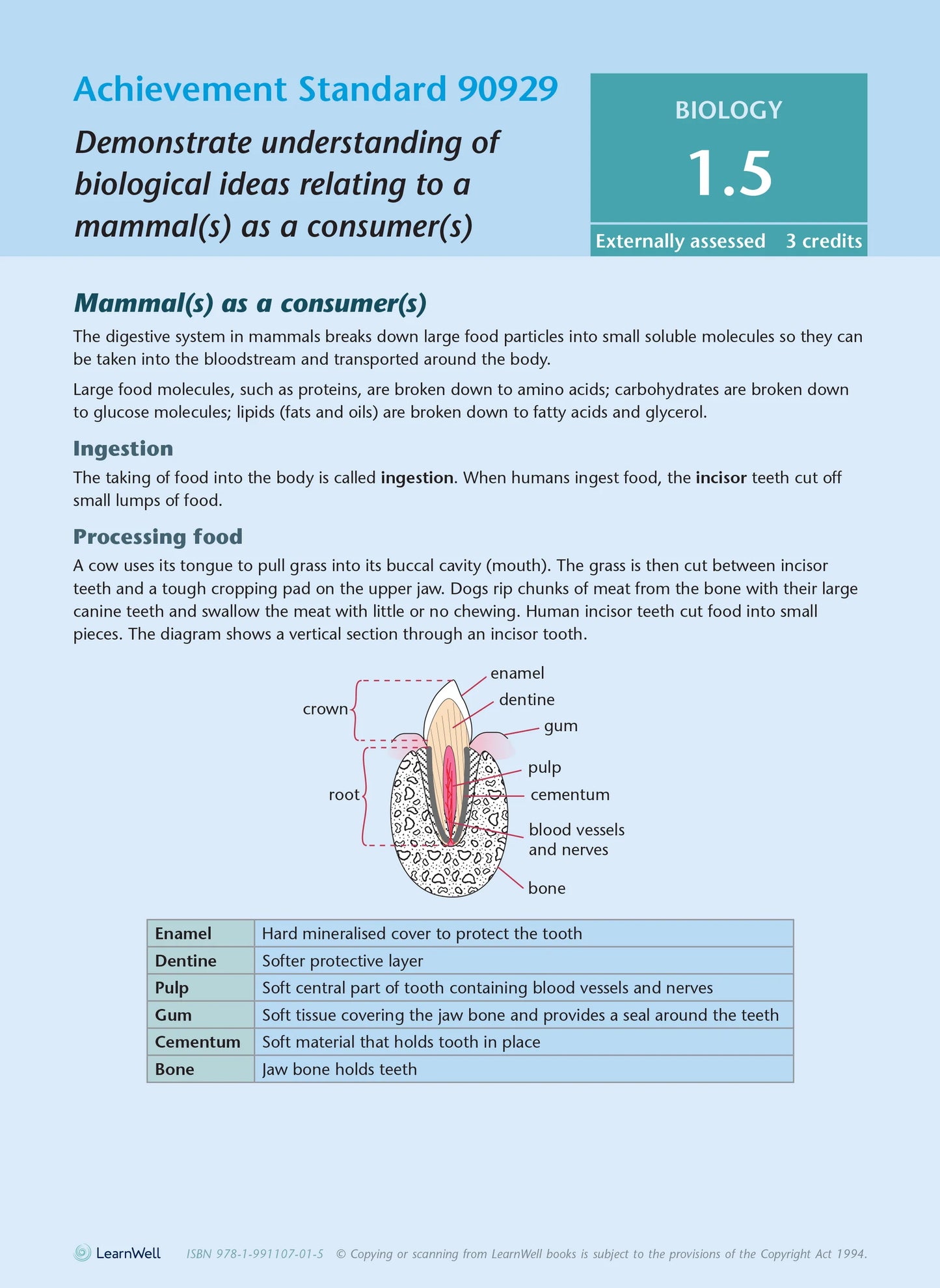 Learnwell Level 1 Biology AME Workbook – NCEA Study Guide NZ