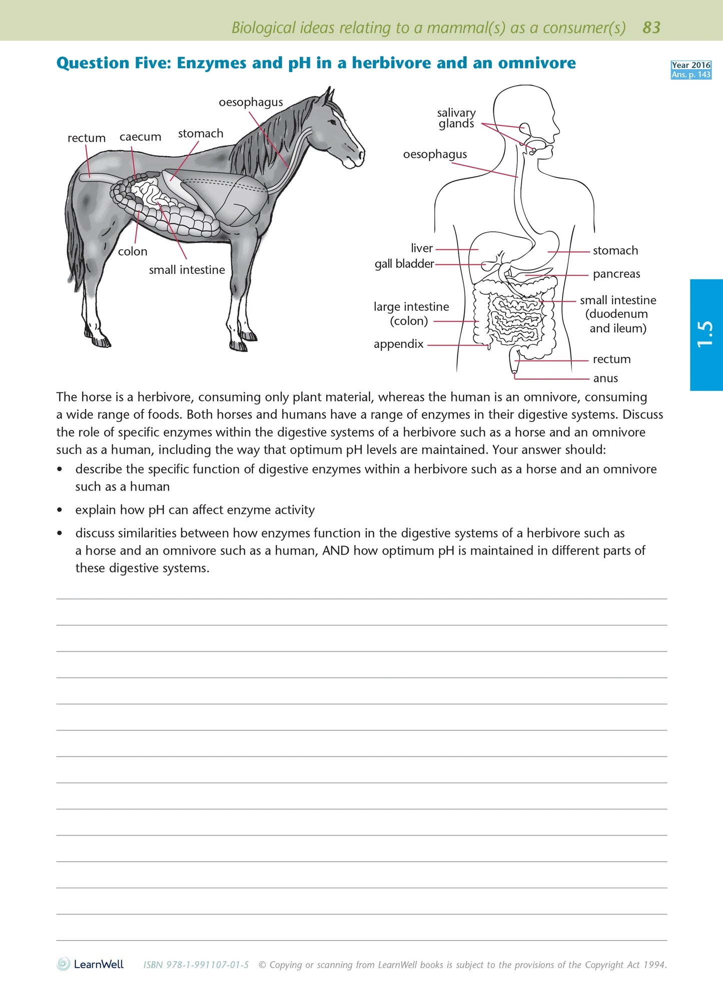 Learnwell Level 1 Biology AME Workbook – NCEA Study Guide NZ