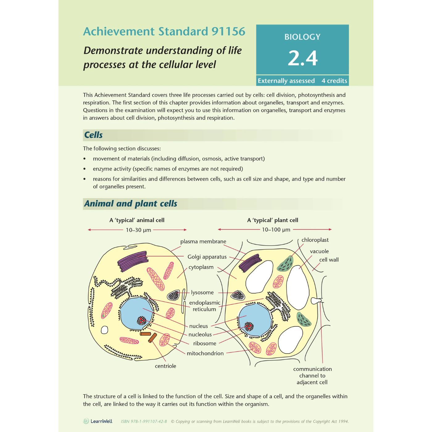 Learnwell Level 2 Biology AME Workbook – NCEA Study Guide