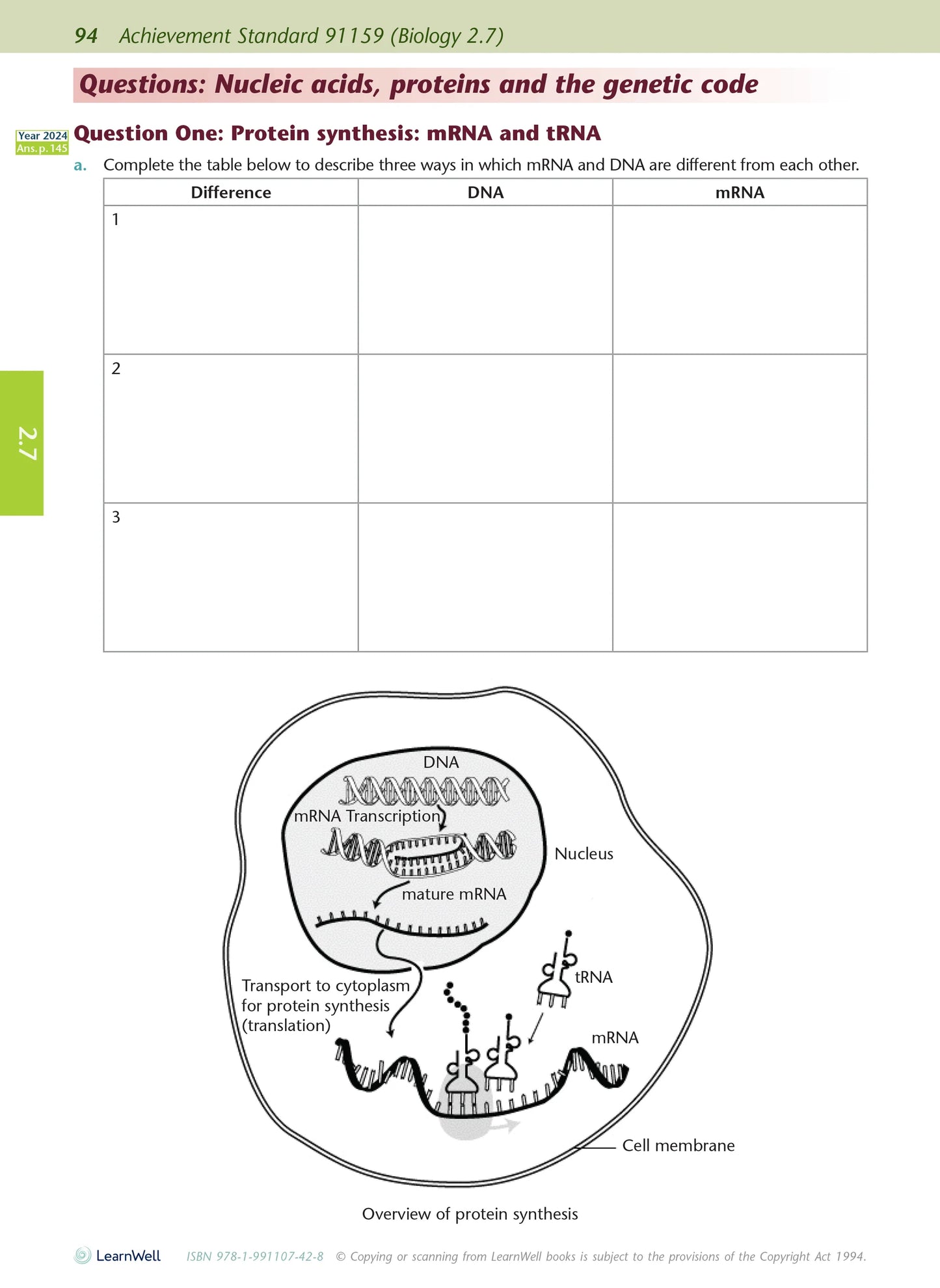 Learnwell Level 2 Biology AME Workbook – NCEA Study Guide