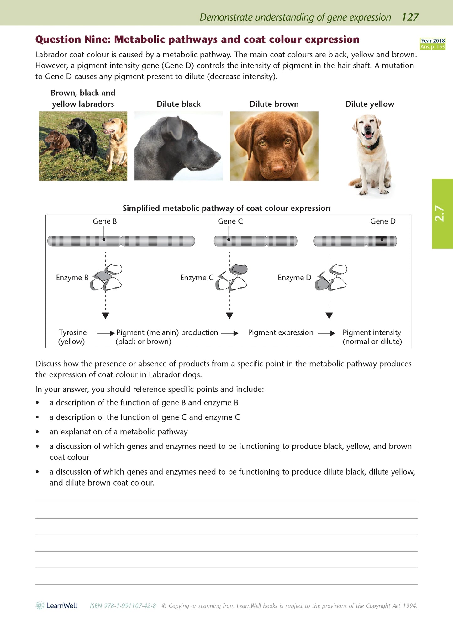 Learnwell Level 2 Biology AME Workbook – NCEA Study Guide