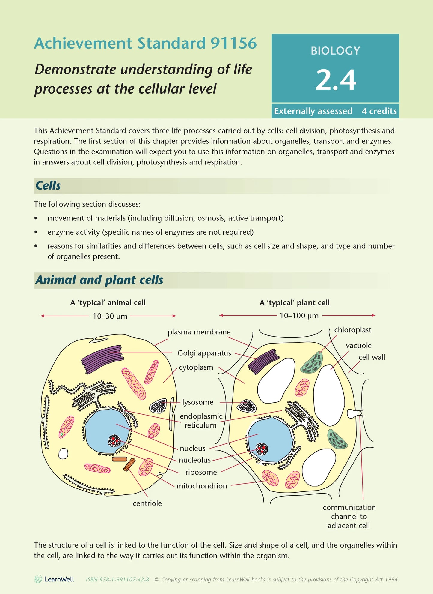 Learnwell Level 2 Biology AME Workbook – NCEA Study Guide