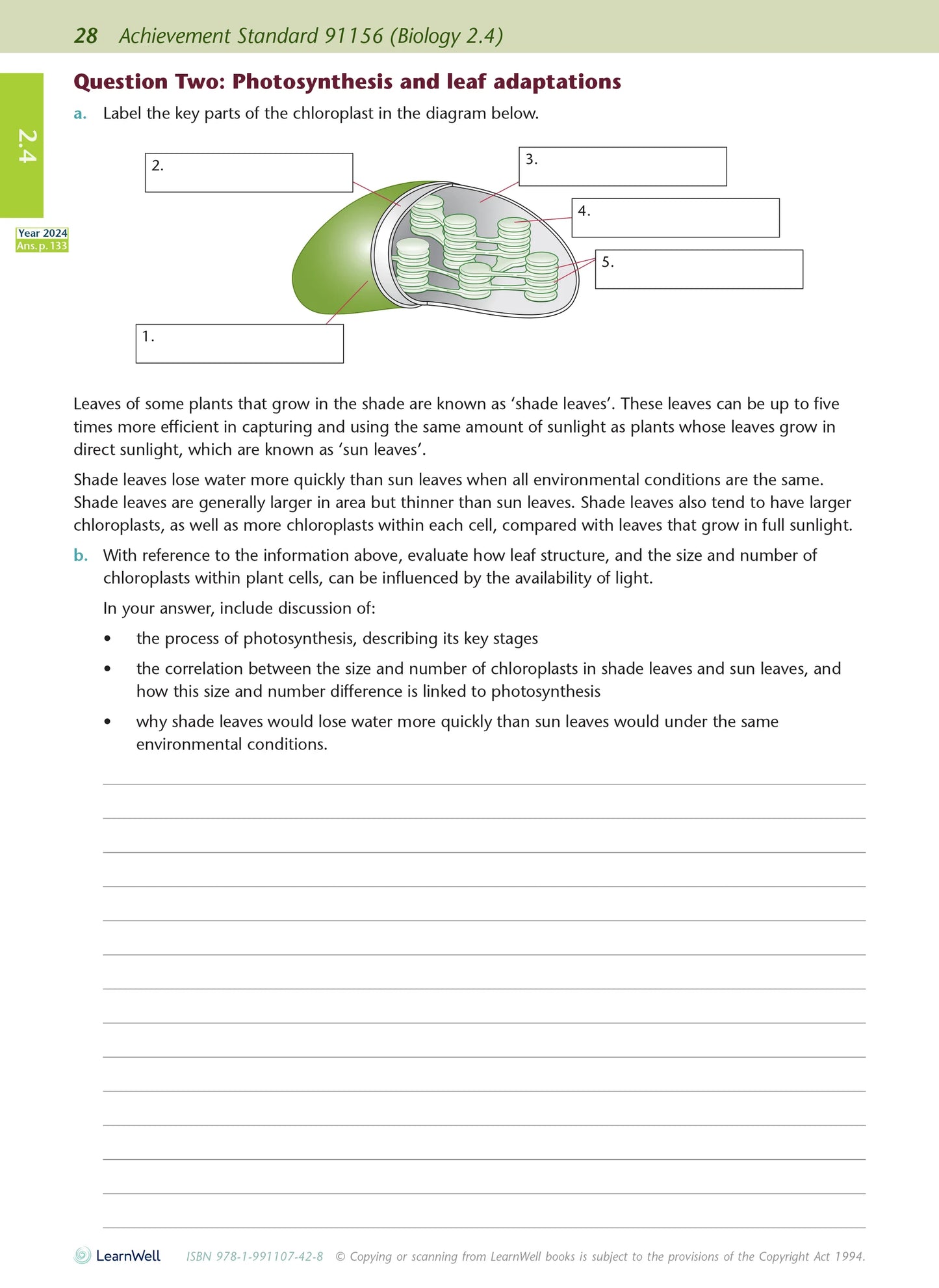 Learnwell Level 2 Biology AME Workbook – NCEA Study Guide