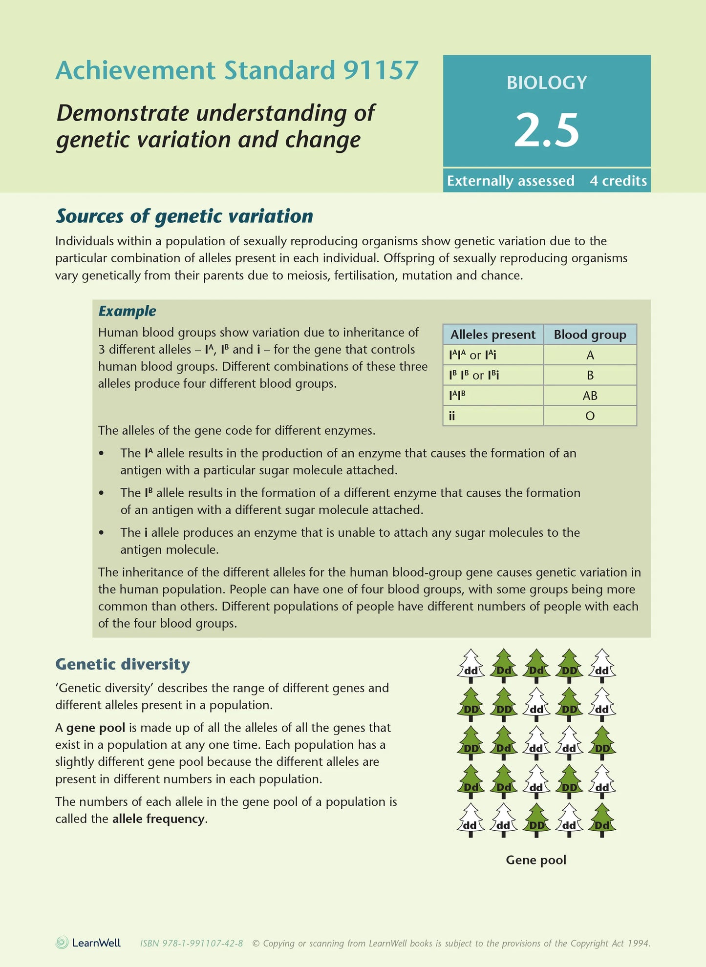 Learnwell Level 2 Biology AME Workbook – NCEA Study Guide