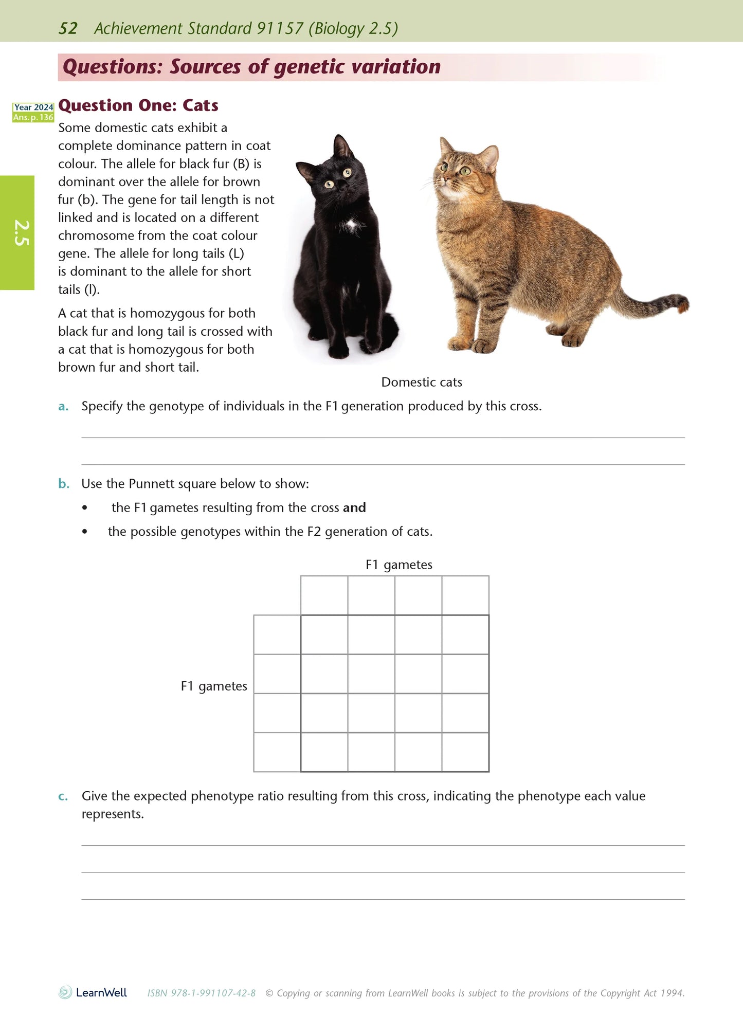 Learnwell Level 2 Biology AME Workbook – NCEA Study Guide