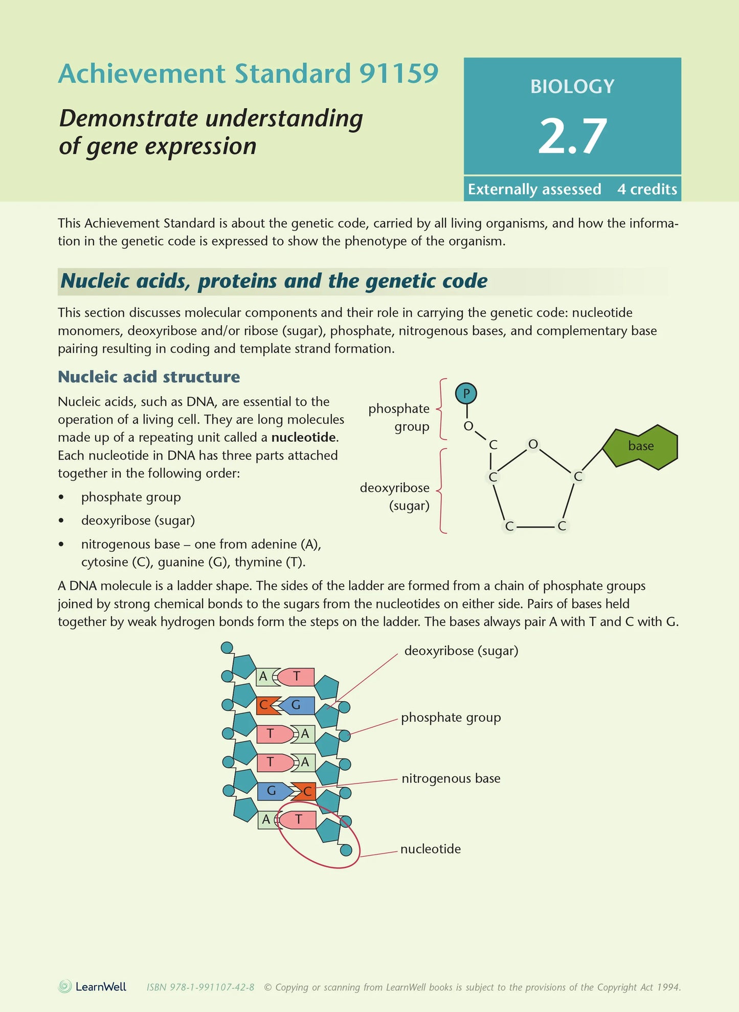 Learnwell Level 2 Biology AME Workbook – NCEA Study Guide
