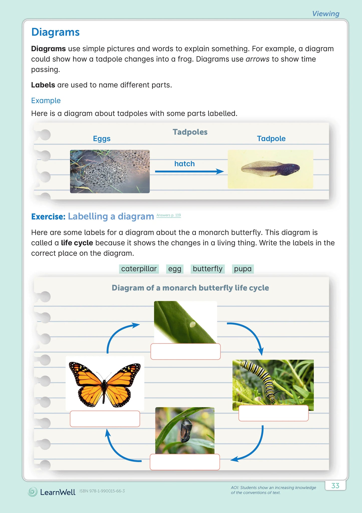 Learnwell Year 4 English Start Right Workbook