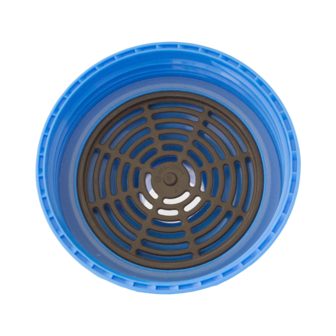 Drink Bottle for Kids with Fruit Filter - Winnie the Pooh - School Depot NZ