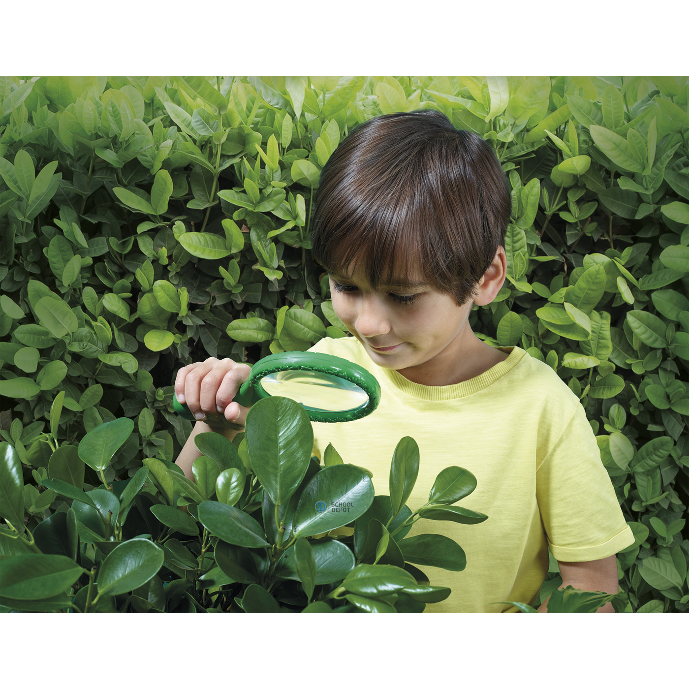 Brainstorm Toys Magnifying Glass Kid looking at the leaves thru magnifying glass lens