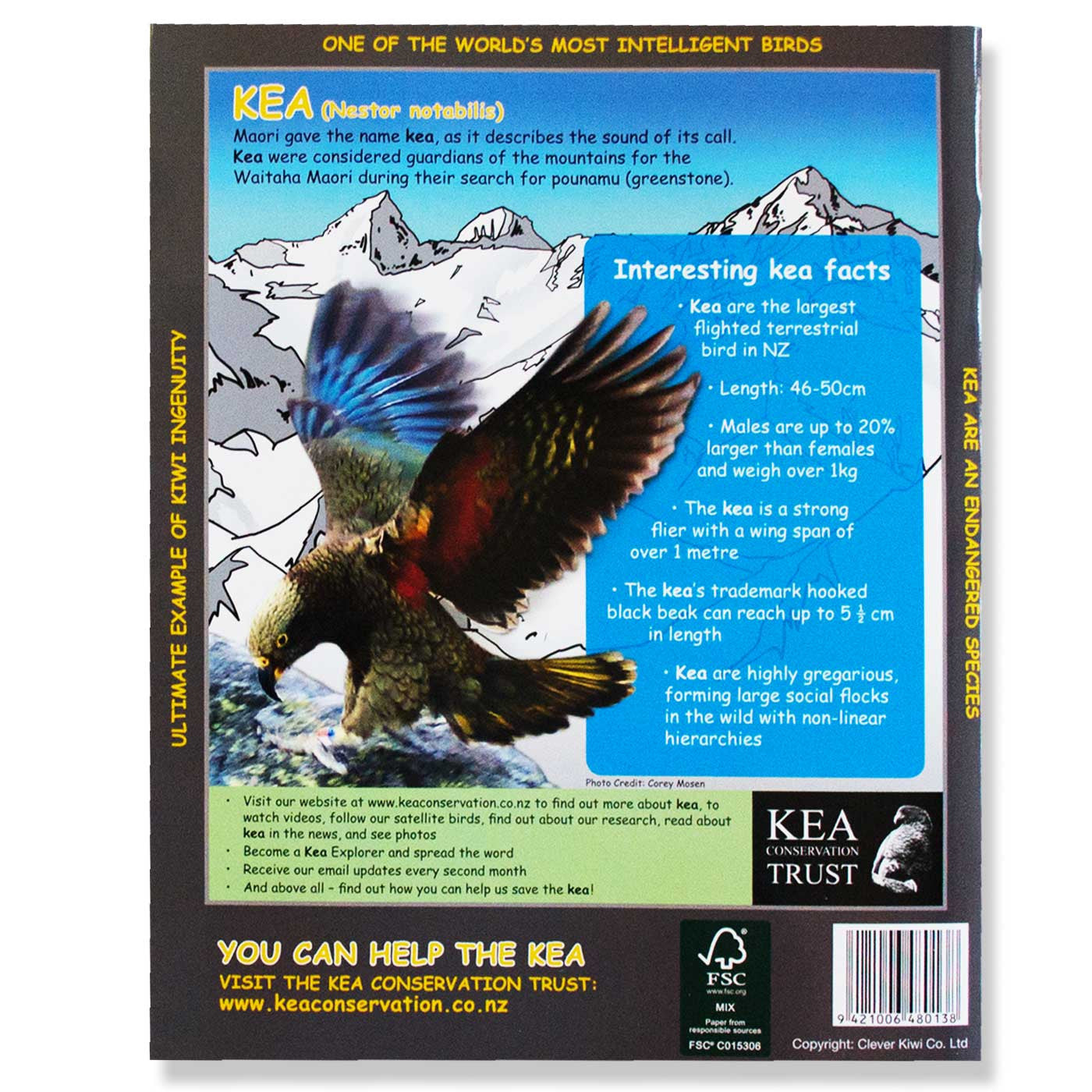 Clever Kiwi Kea 1B5 Book - School Depot