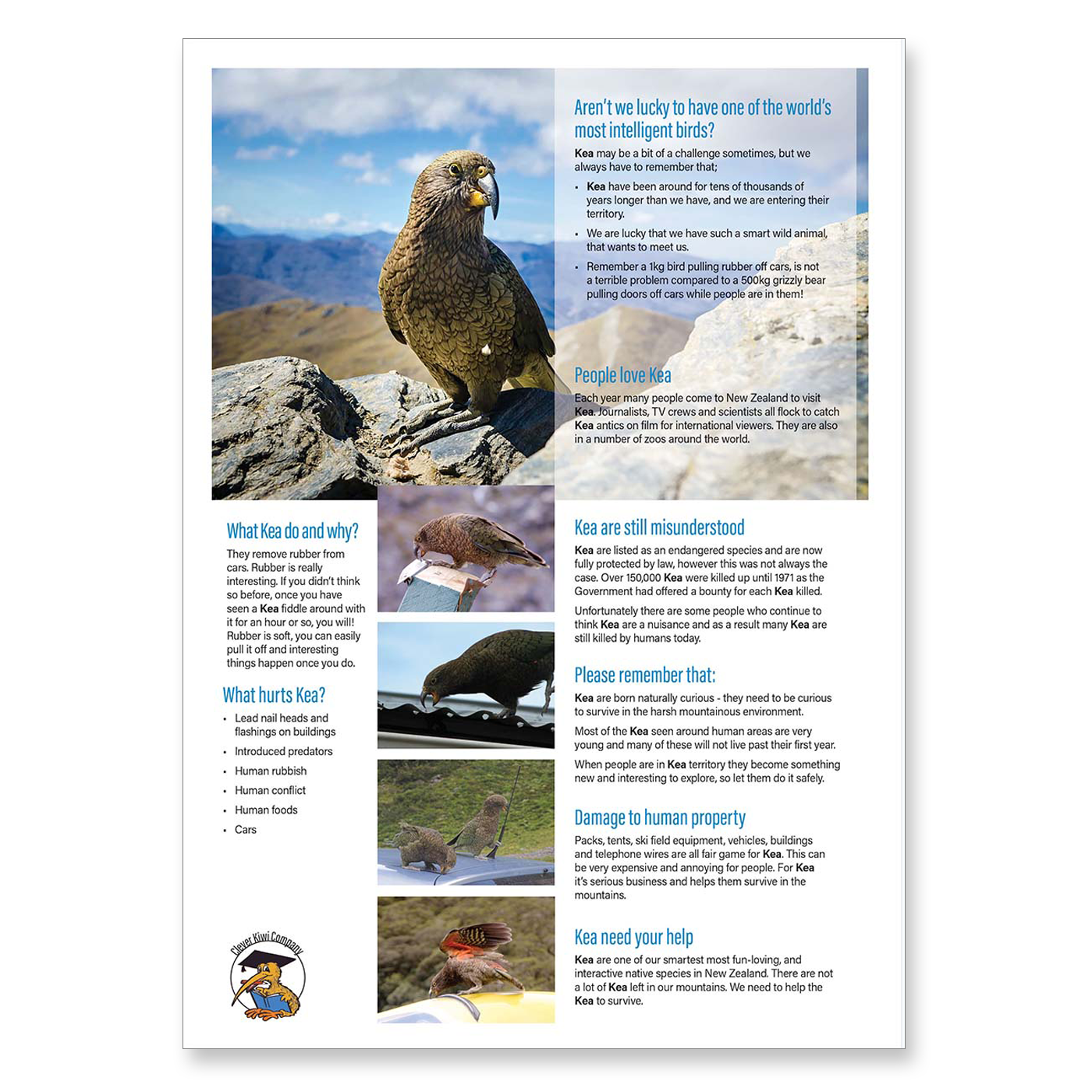 Clever Kiwi Kea Studies Book - Resource Material