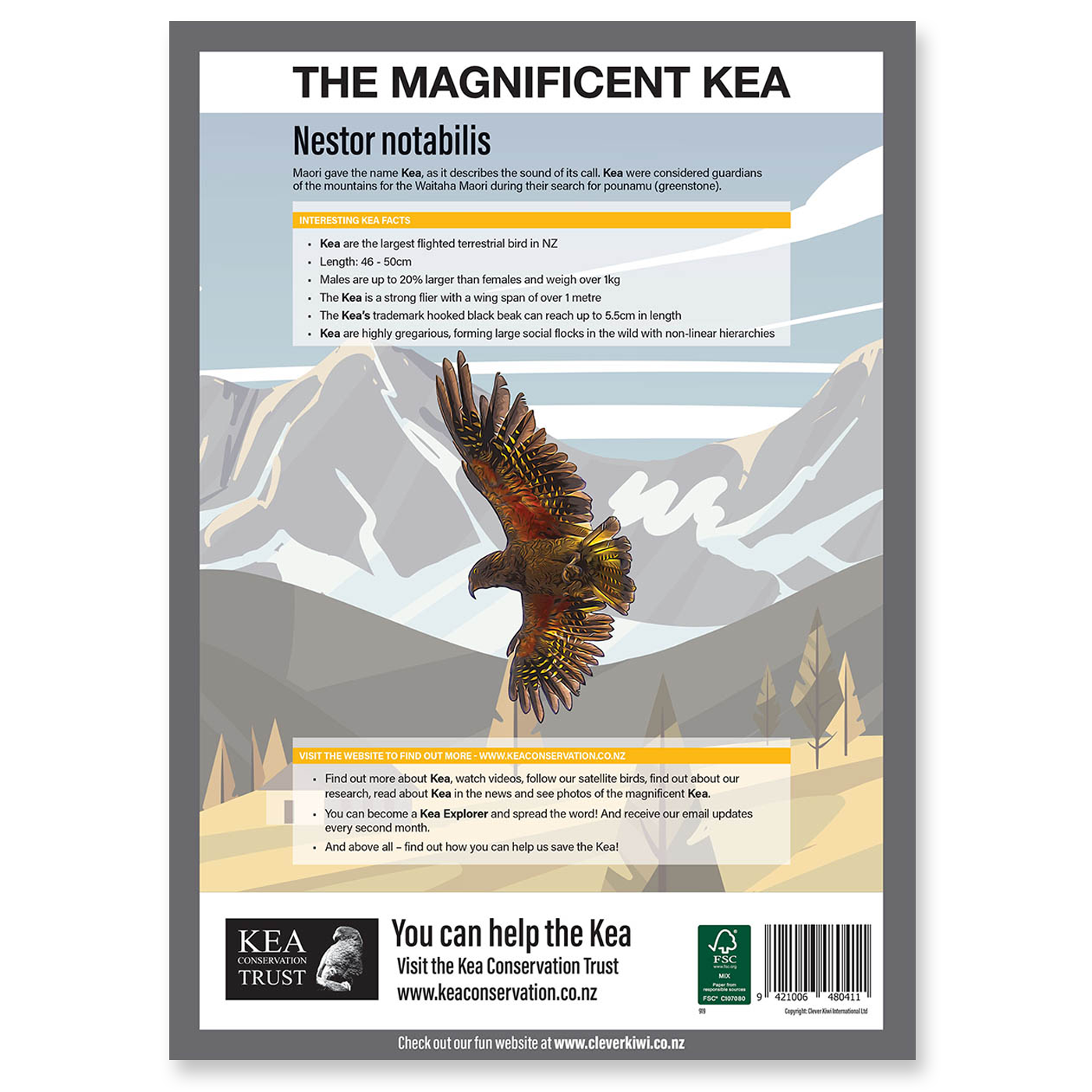 Clever Kiwi Kea Studies Book - Back Cover