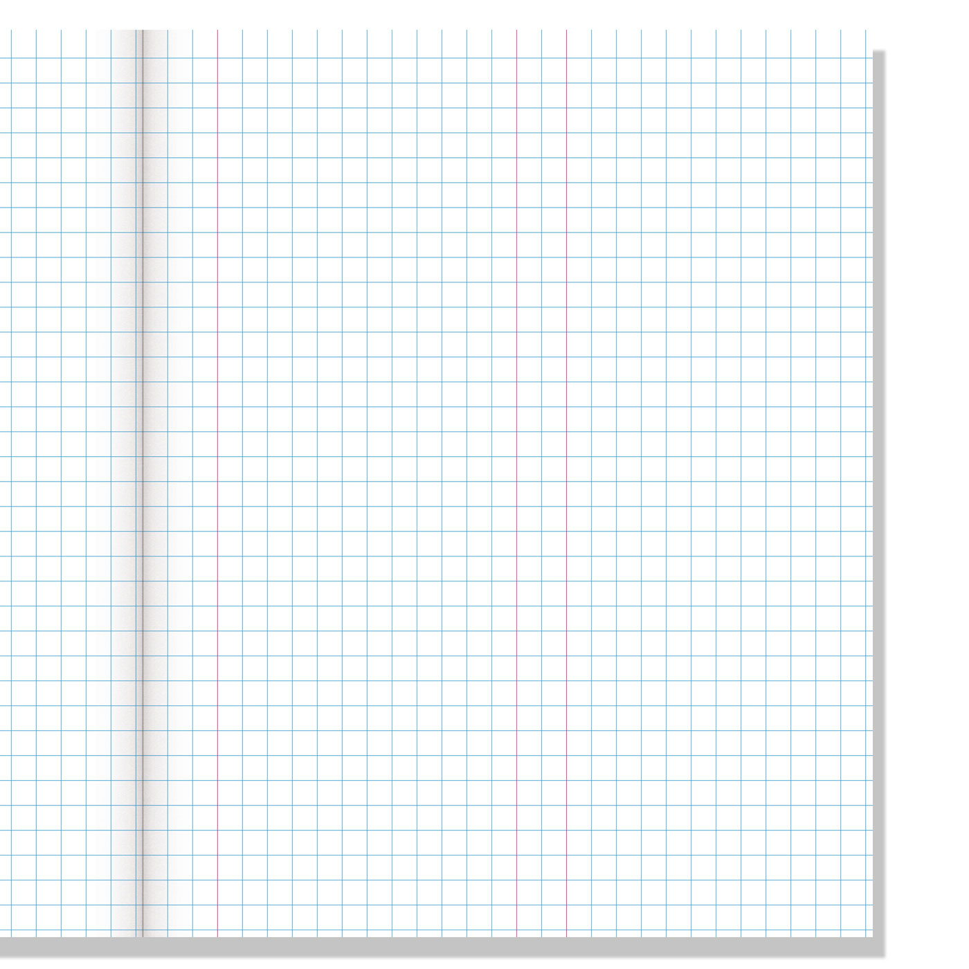 WARWICK EXERCISE BOOK 1E5 36 LEAF WITH MARGIN QUAD 7MM 255X205MM inside pages