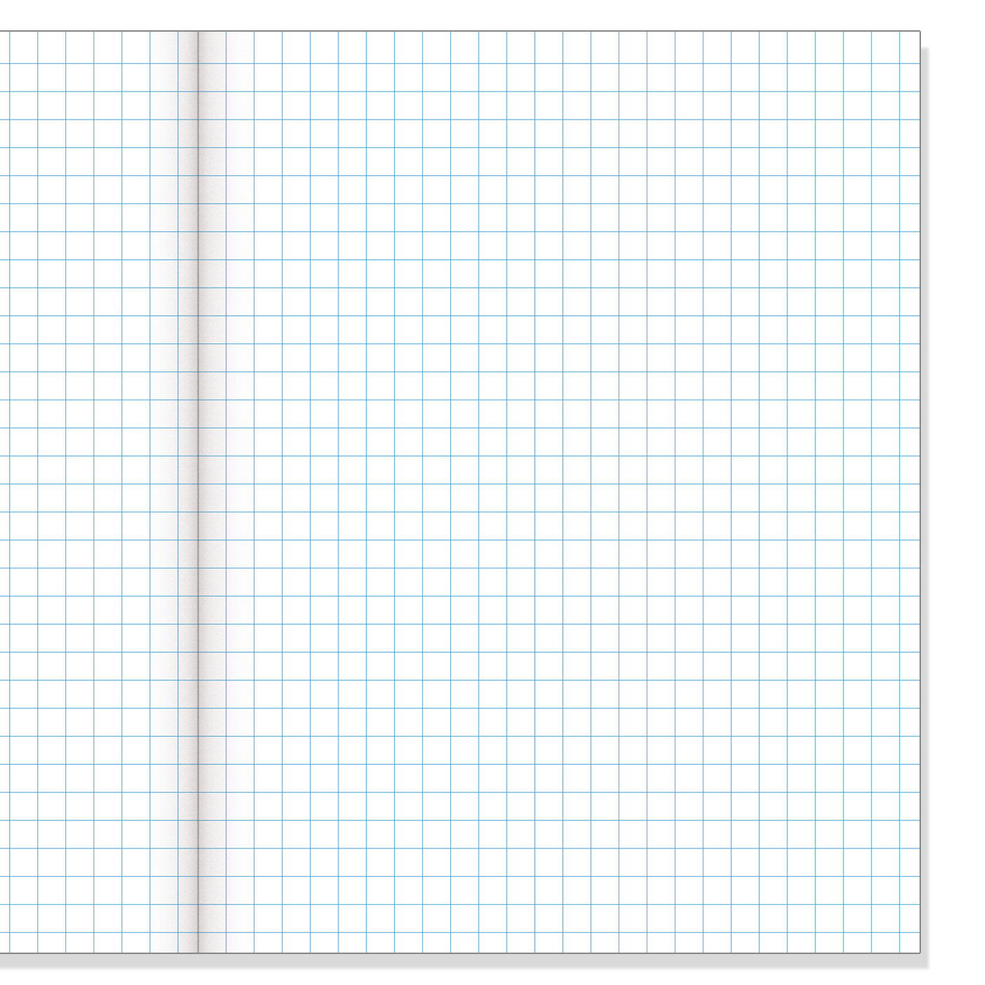 Warwick 1E4 Exercise Book 7 mm Quad Maths 28 Leaves Page View