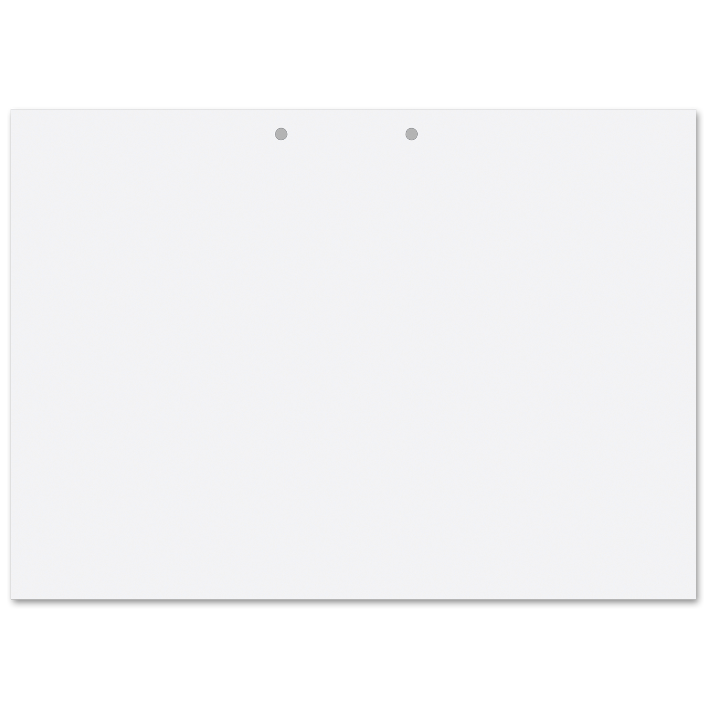 Warwick Drawing Refill Pad 17C9 Punched A3 20 Leaves