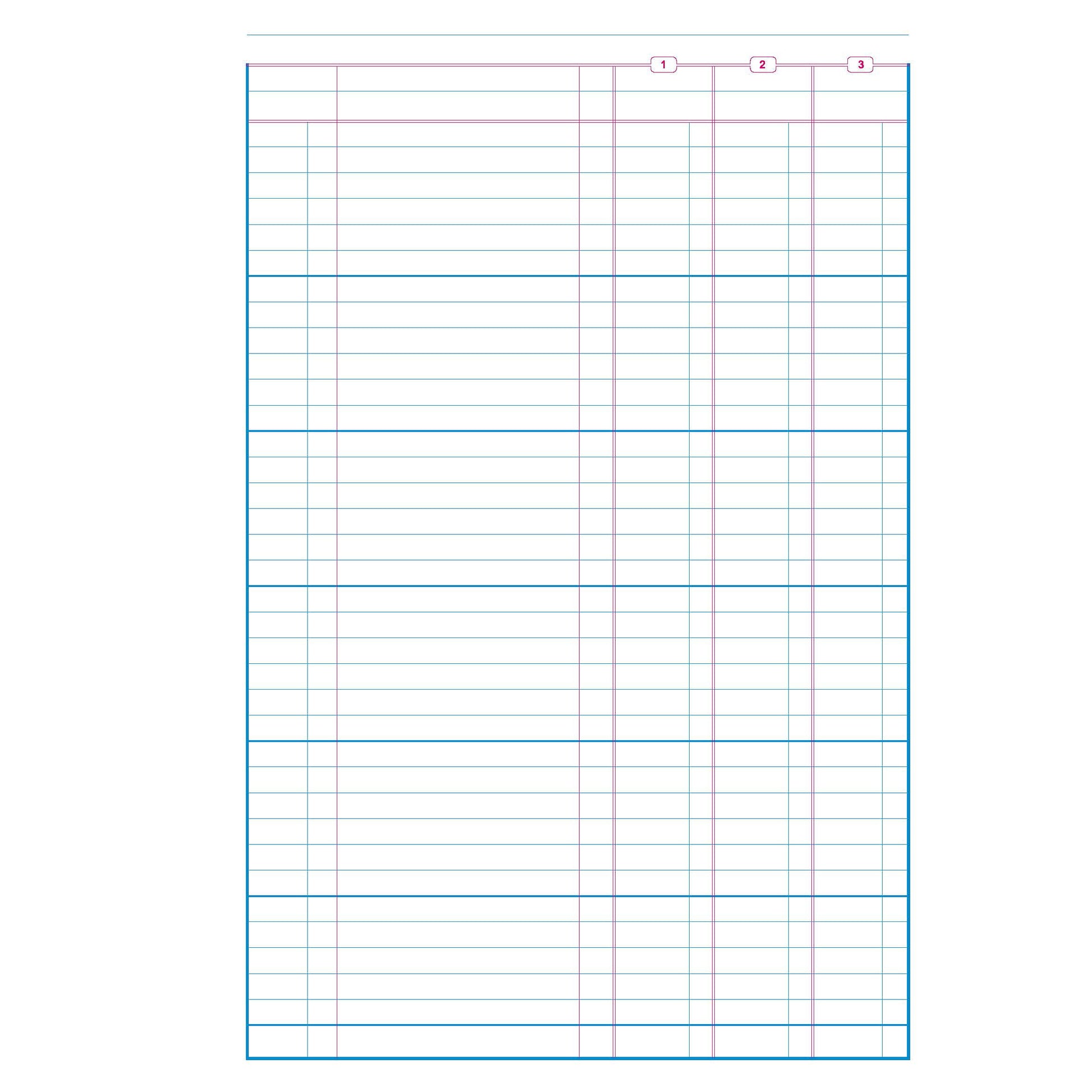 2WRITE 14R8 Accounting Loose Leaf Refill Treble Cash Columns A4