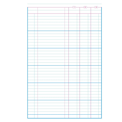 2WRITE 14R8 Accounting Loose Leaf Refill Treble Cash Columns A4