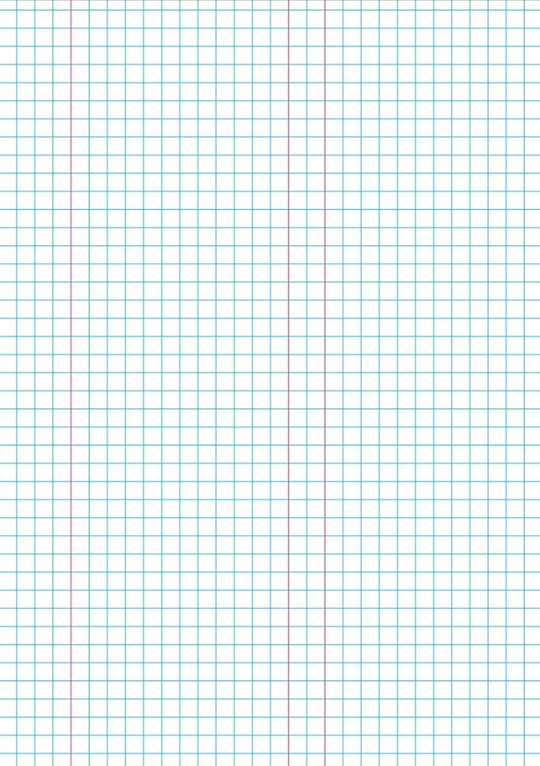 2Write 1E8 (MA4) Exercise Book Quad 7mm with Margins