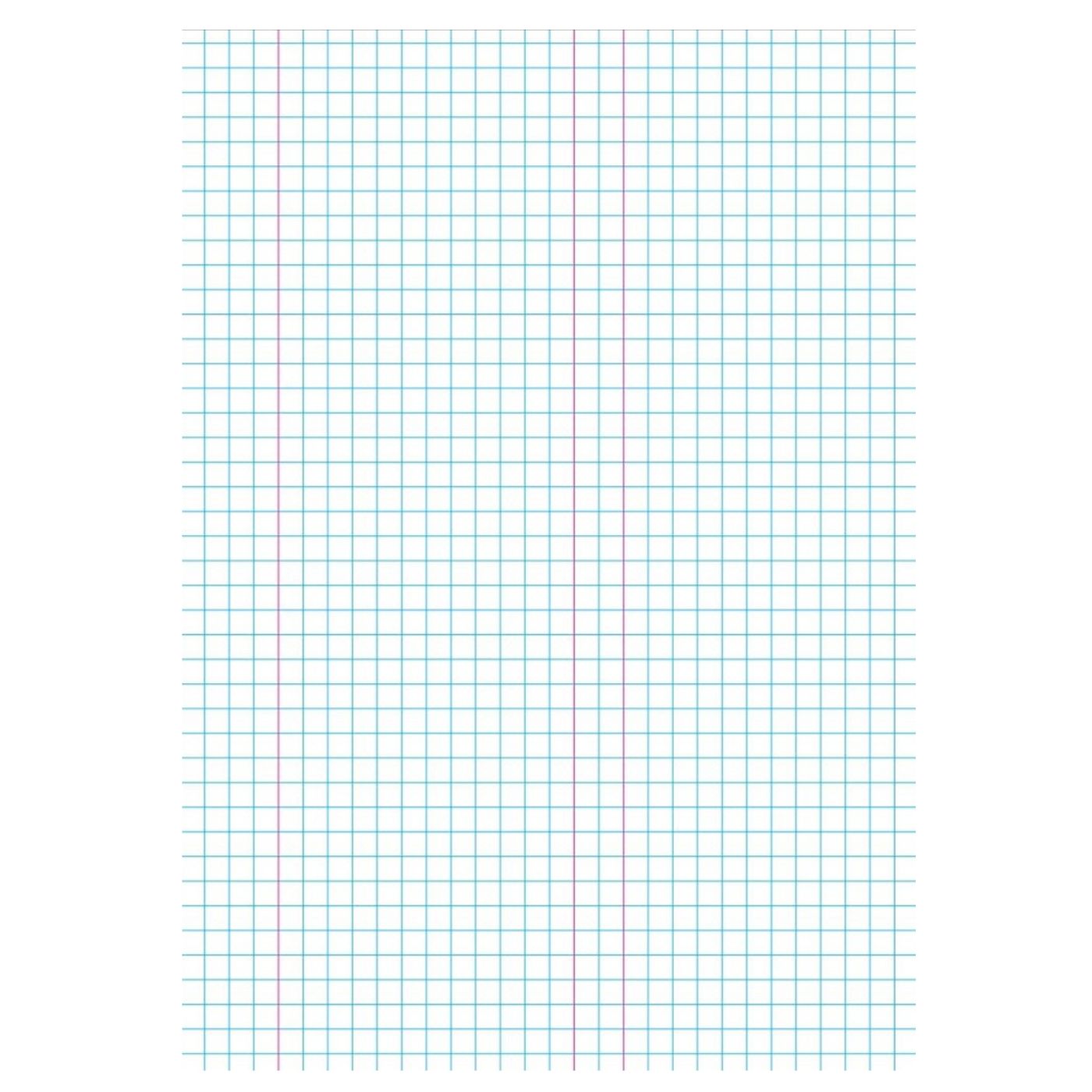 2Write 1E8 (MA4) Exercise Book Quad 7mm with Margins