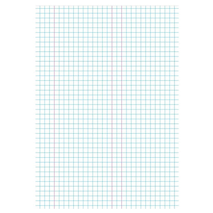 2Write 1E8 (MA4) Exercise Book Quad 7mm with Margins