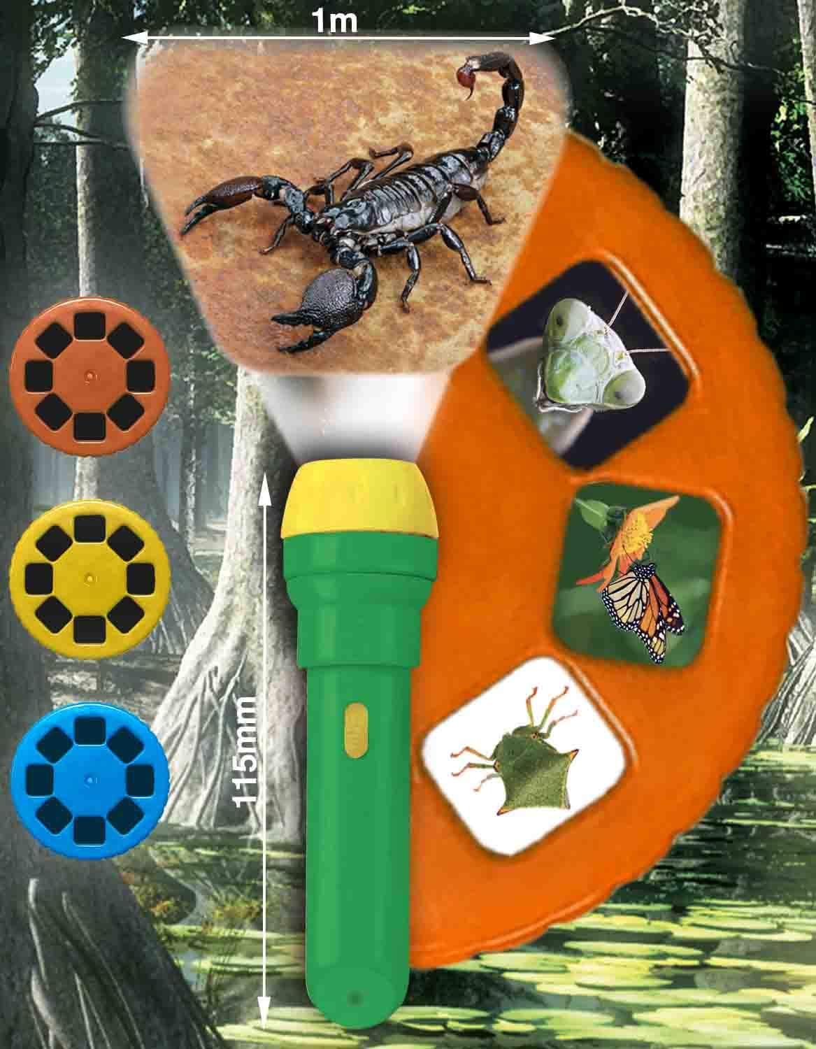 Brainstorm Toys NHM Torch & Projector 24 Images Creepy Crawly