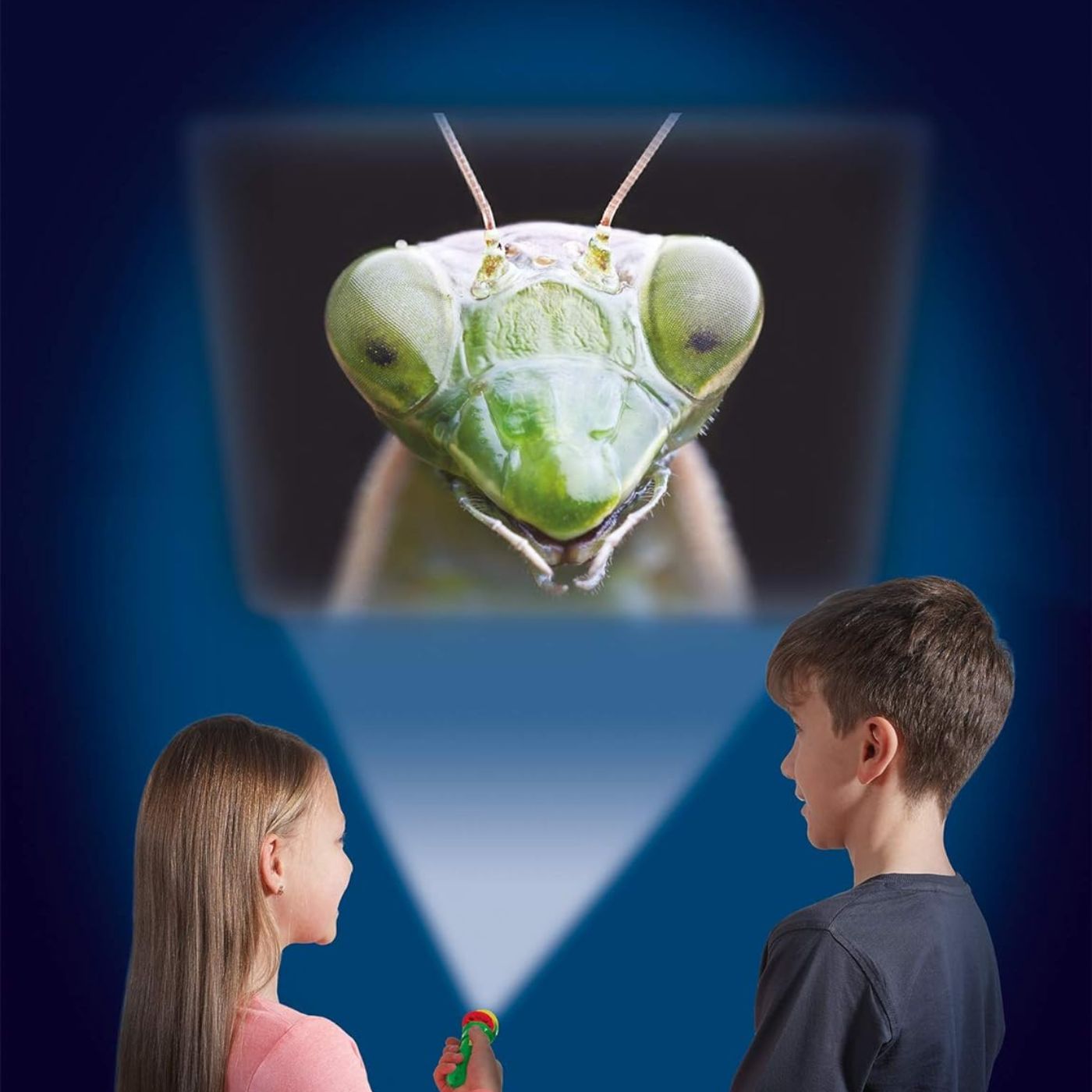 Brainstorm Toys NHM Torch & Projector 24 Images Creepy Crawly