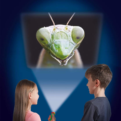 Brainstorm Toys NHM Torch & Projector 24 Images Creepy Crawly