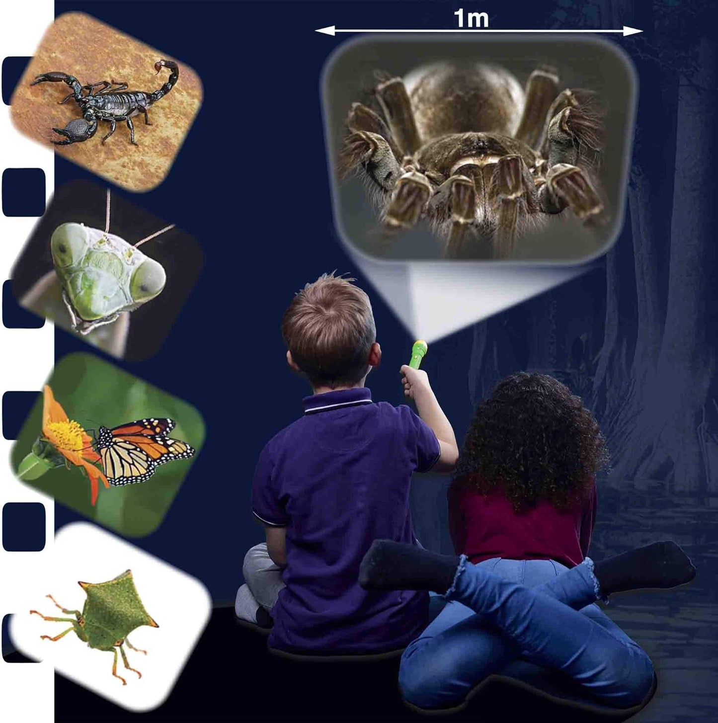 Brainstorm Toys NHM Torch & Projector 24 Images Creepy Crawly