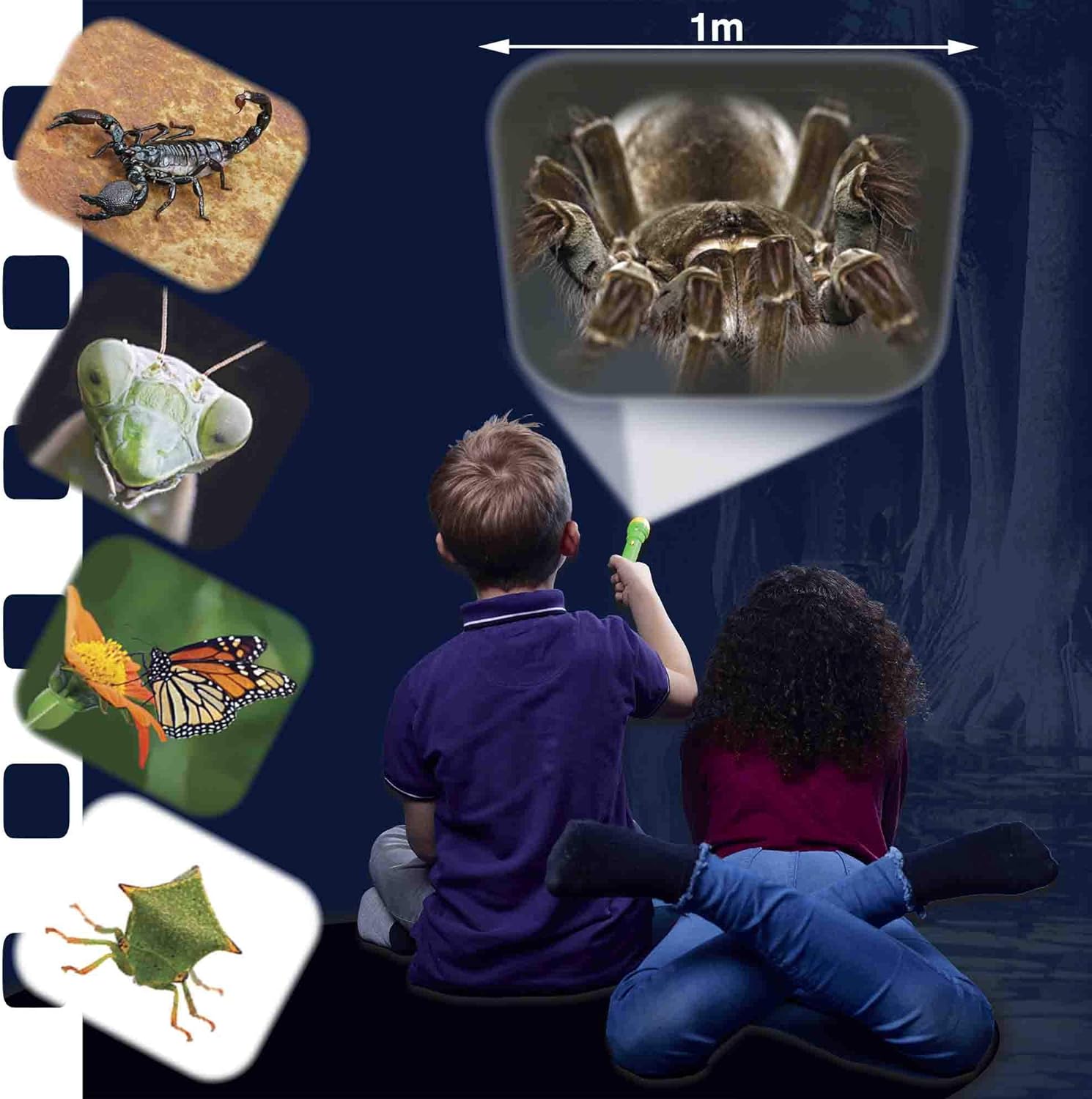 Brainstorm Toys NHM Torch & Projector 24 Images Creepy Crawly