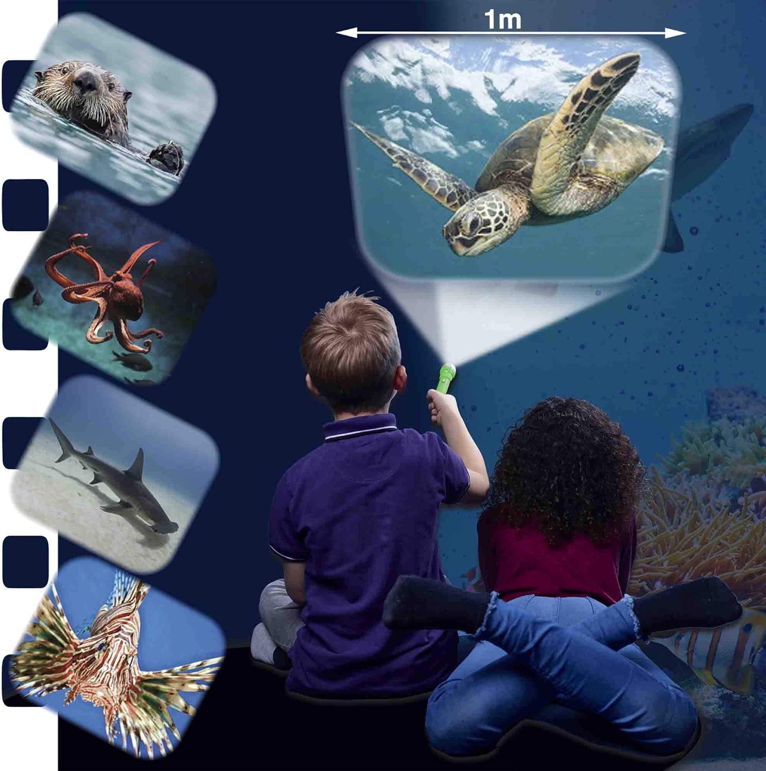 Brainstorm Toys NHM Torch & Projector 24 Images Sea Creatures