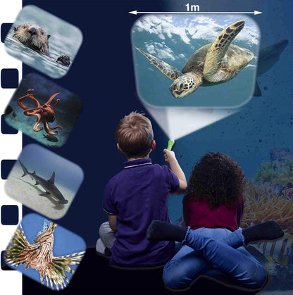 Brainstorm Toys NHM Torch & Projector 24 Images Sea Creatures