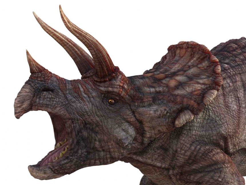 Brainstorm Toys NHM Torch & Projector 24 Images Sea Dinosaur