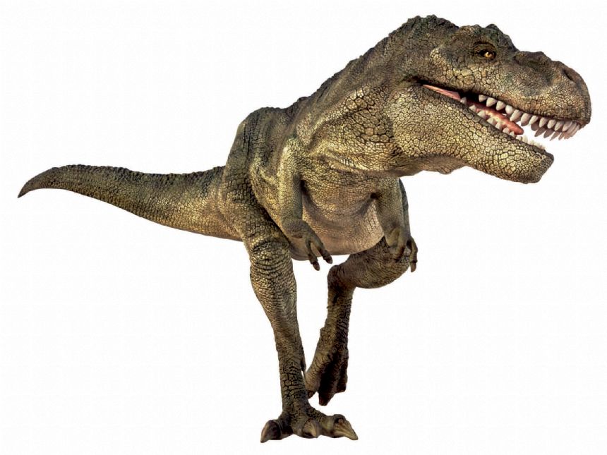 Brainstorm Toys NHM Torch & Projector 24 Images Sea Dinosaur