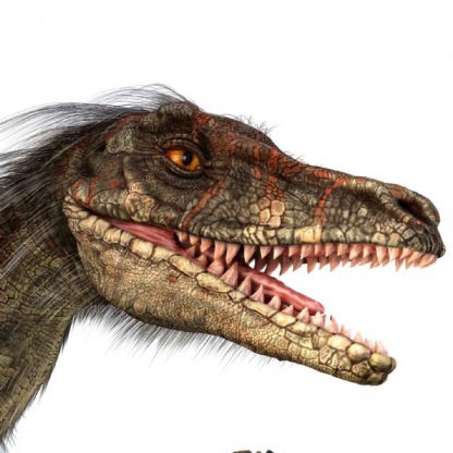 Brainstorm Toys NHM Torch & Projector 24 Images Sea Dinosaur