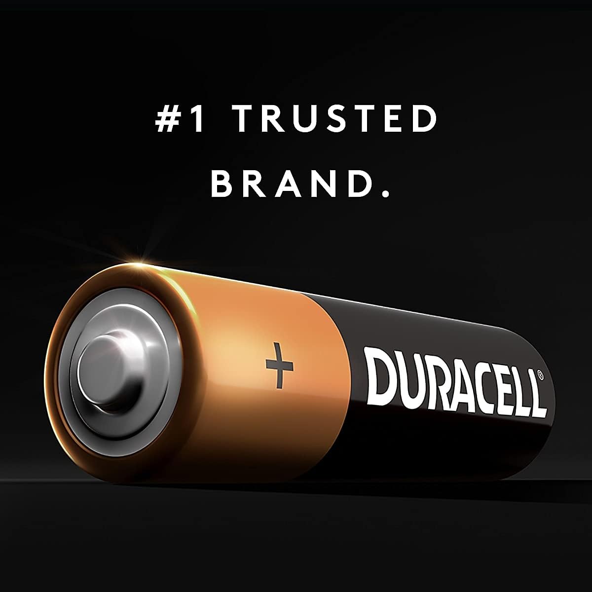 Duracell Coppertop Alkaline MN1500 AA Battery Each