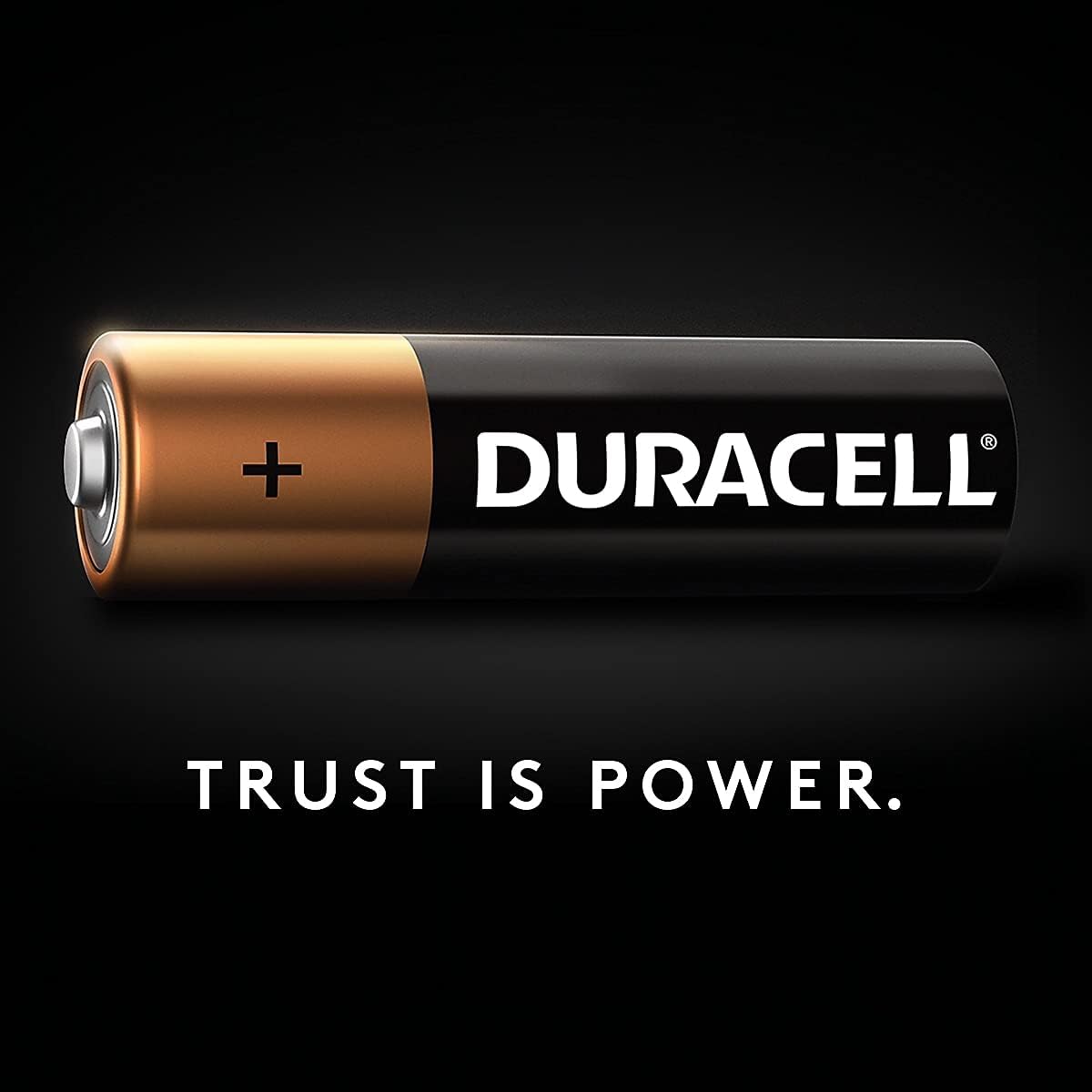 Duracell Coppertop Alkaline MN1500 AA Battery Each