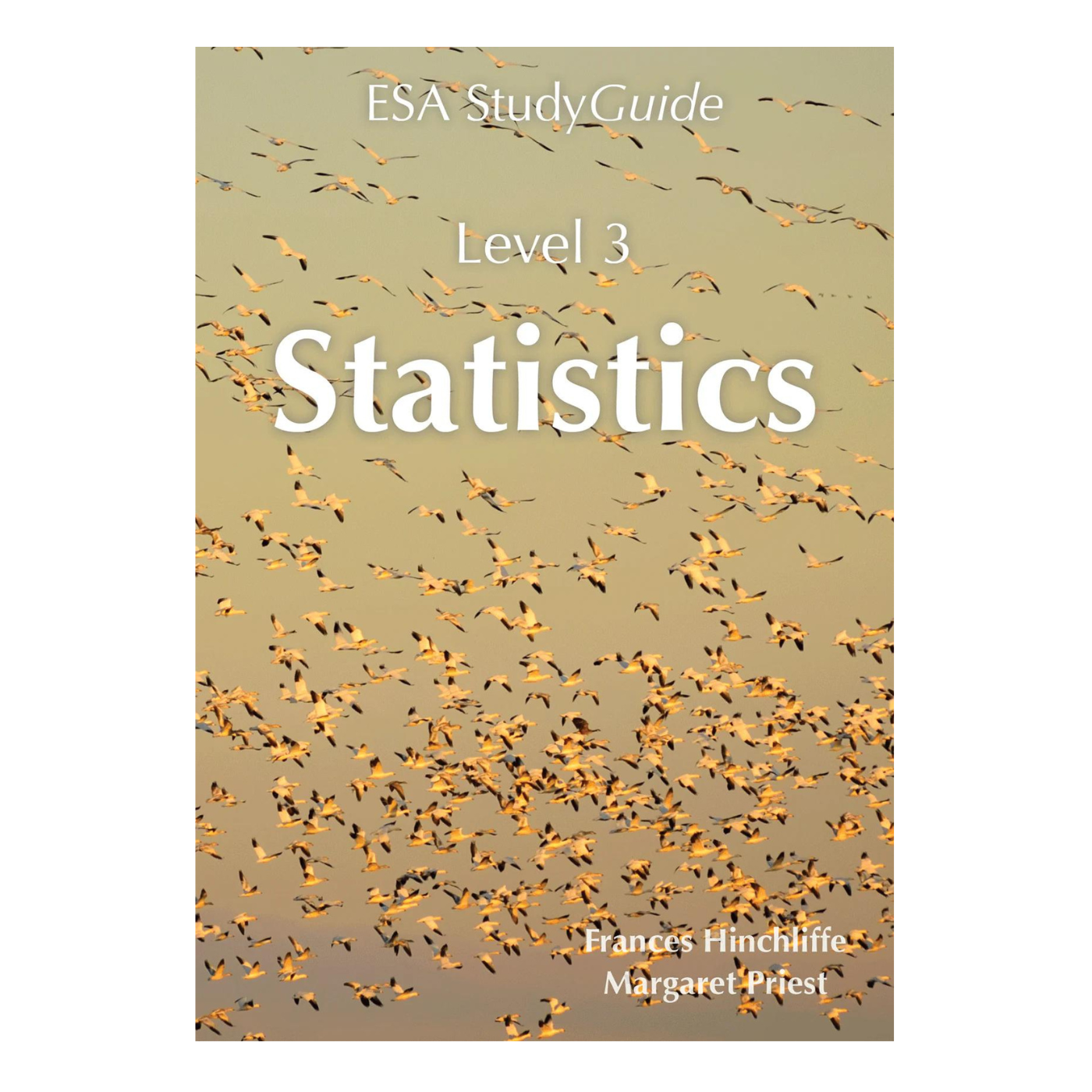ESA Study Guide Level 3 Statistics