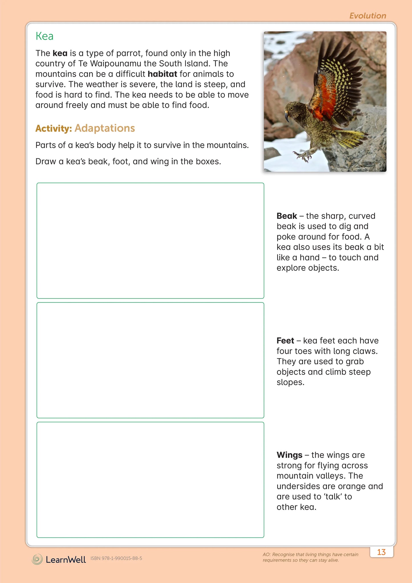 LearnWell Year 4 Science Start Right Workbook