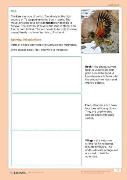LearnWell Year 4 Science Start Right Workbook
